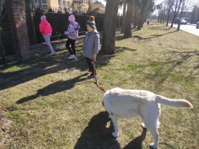 dogoterapia 3 20250522 1492740920