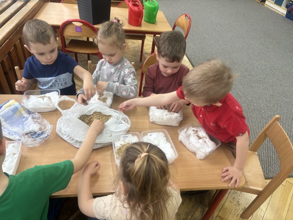 ekologia 2 9 20250608 1072009685