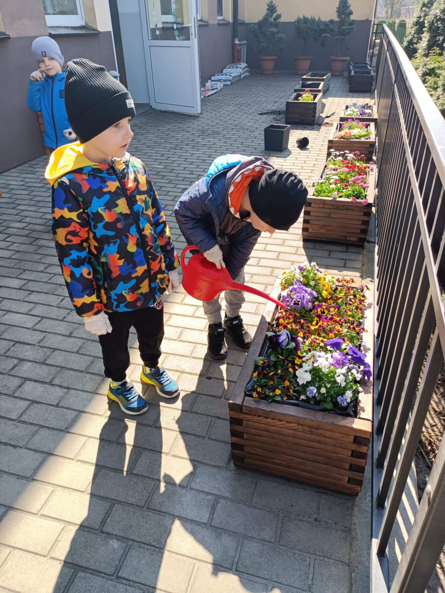 ogrodek kwiatowy 1 20250604 1334326452