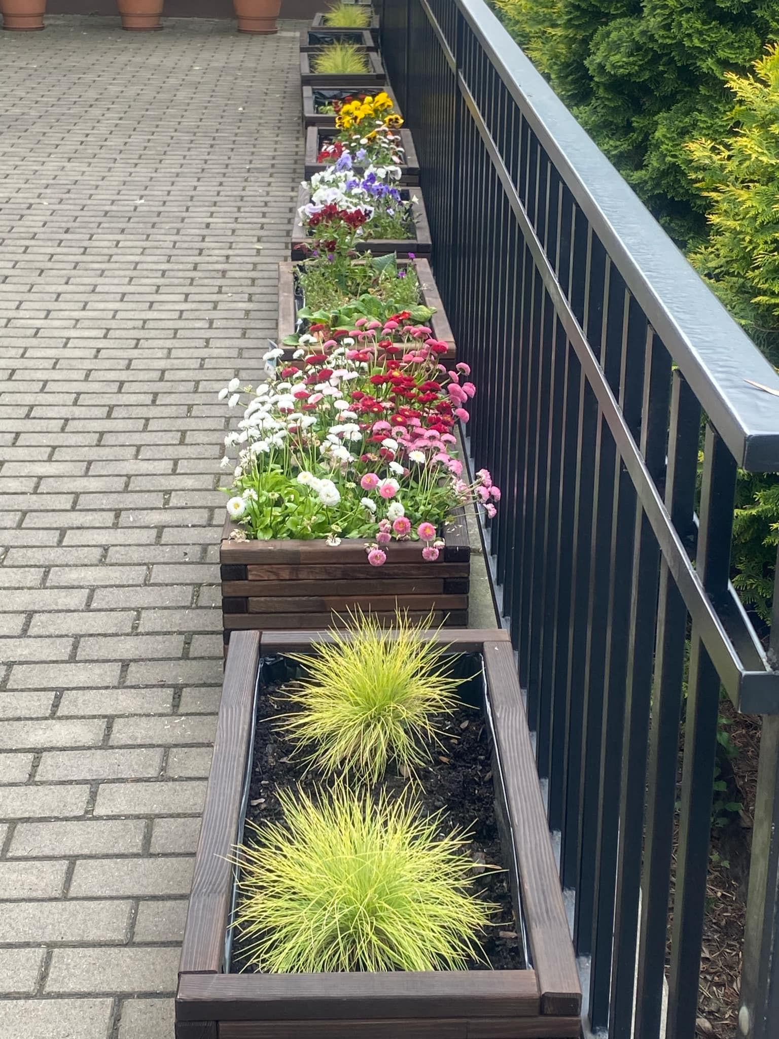 ogrodek kwiatowy 3 20250604 2064845087