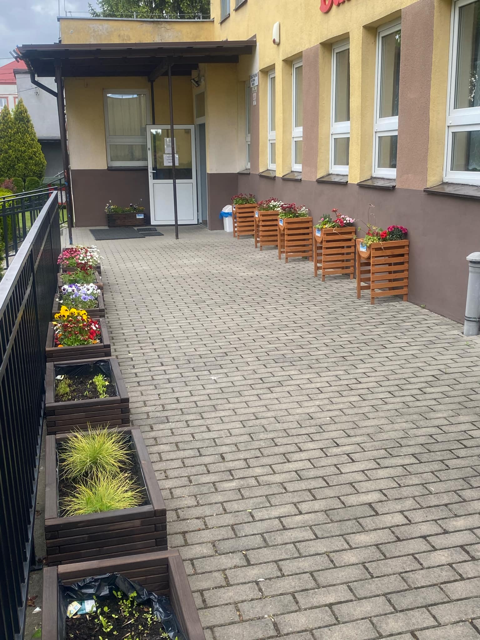 ogrodek kwiatowy 9 20250604 2066046741